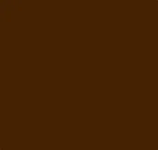 Brigitte 20 Pantyhose