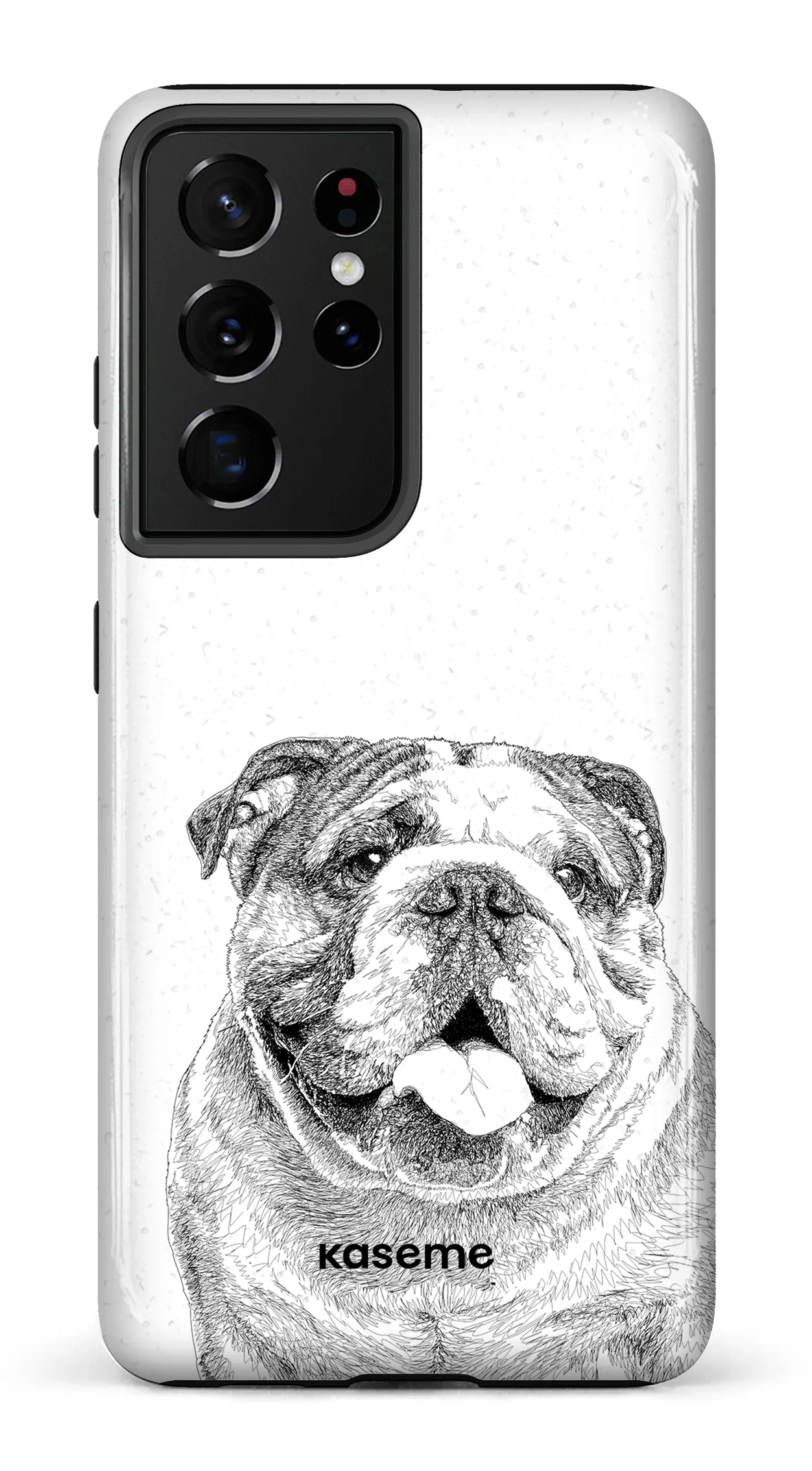 English Bulldog