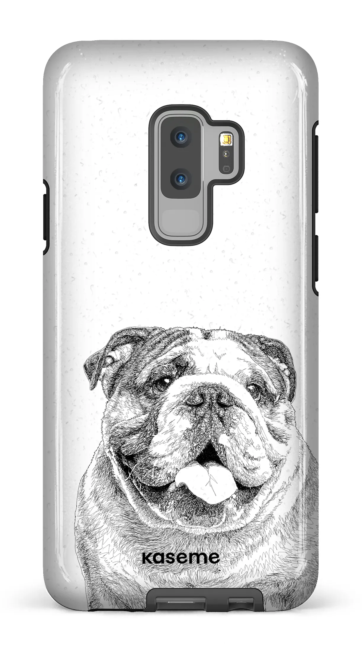 English Bulldog