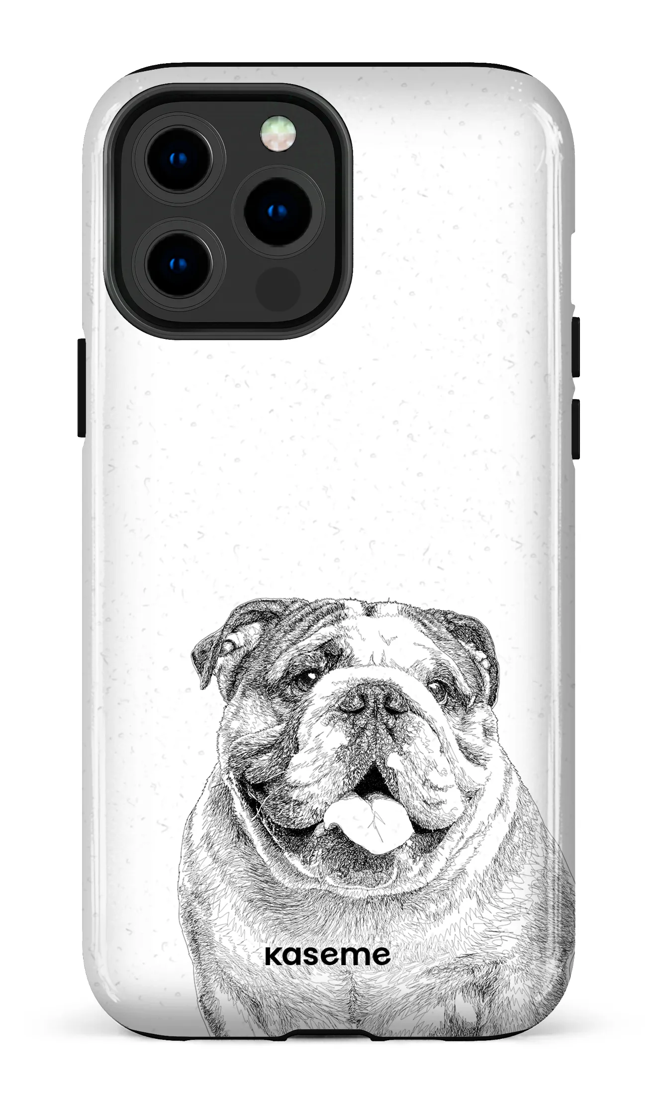 English Bulldog