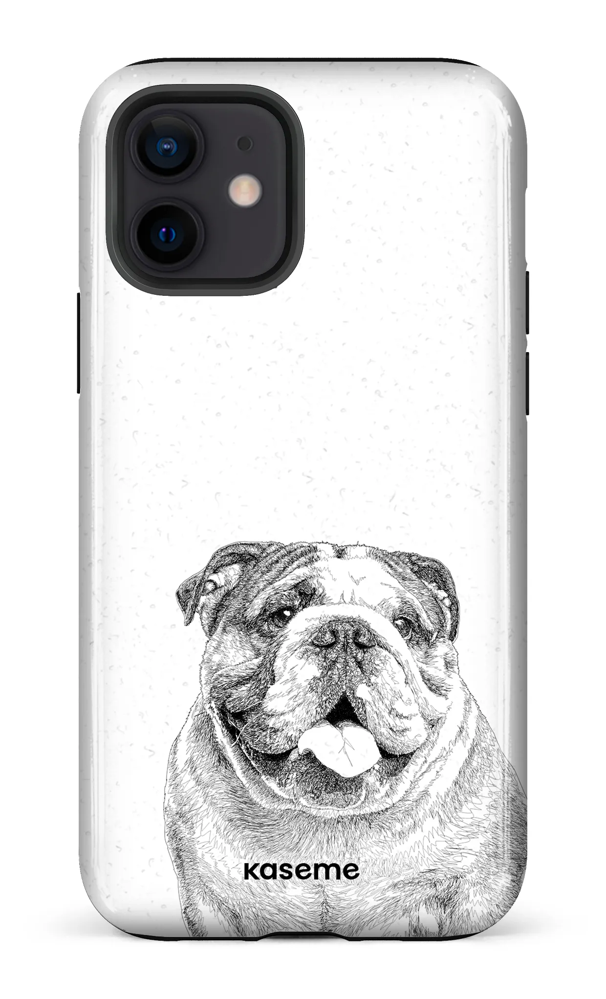 English Bulldog