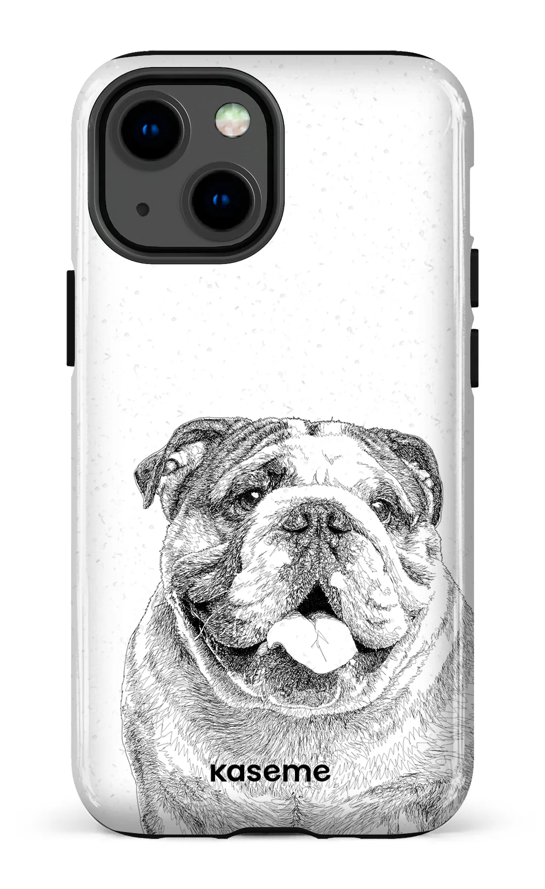 English Bulldog