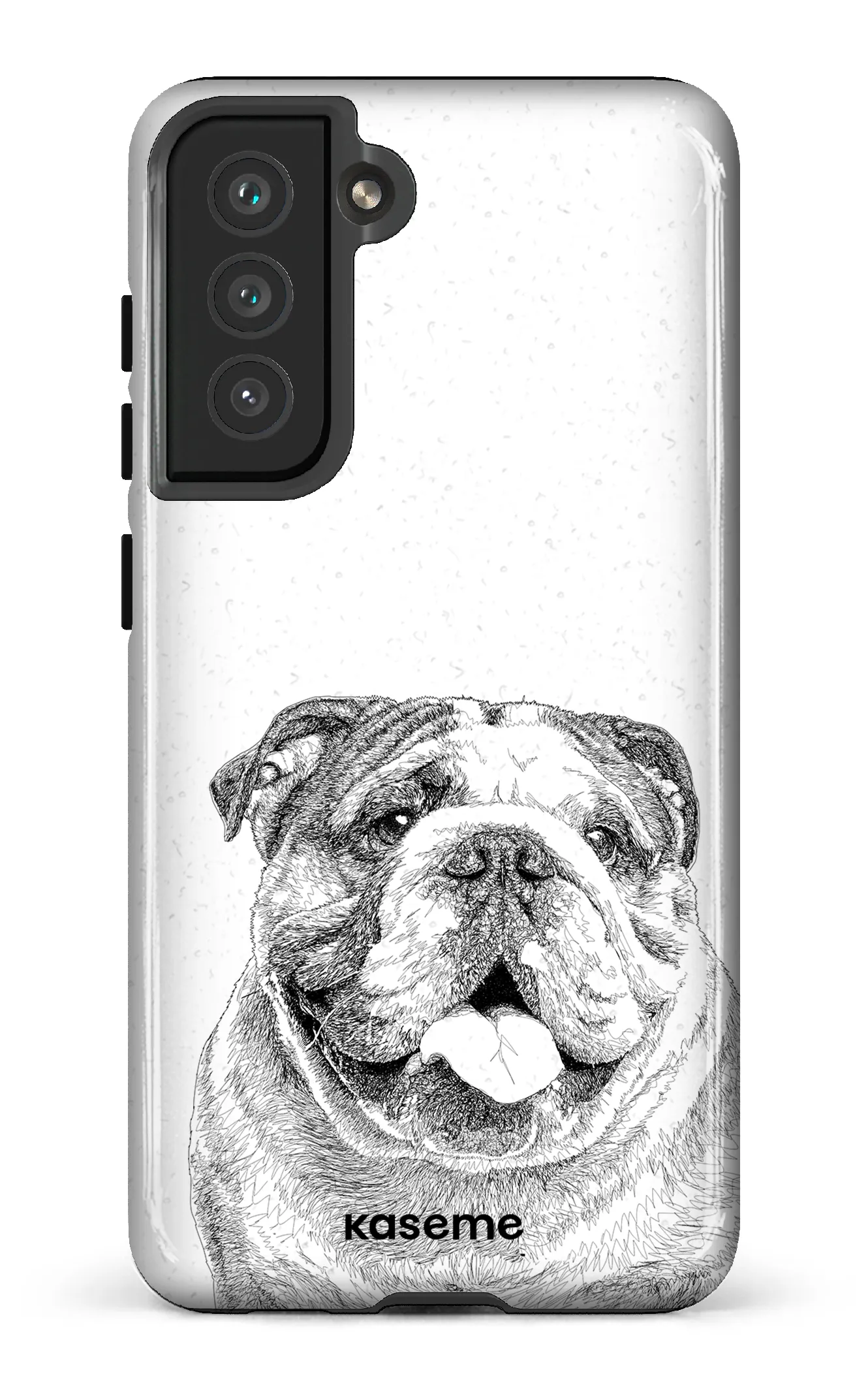 English Bulldog