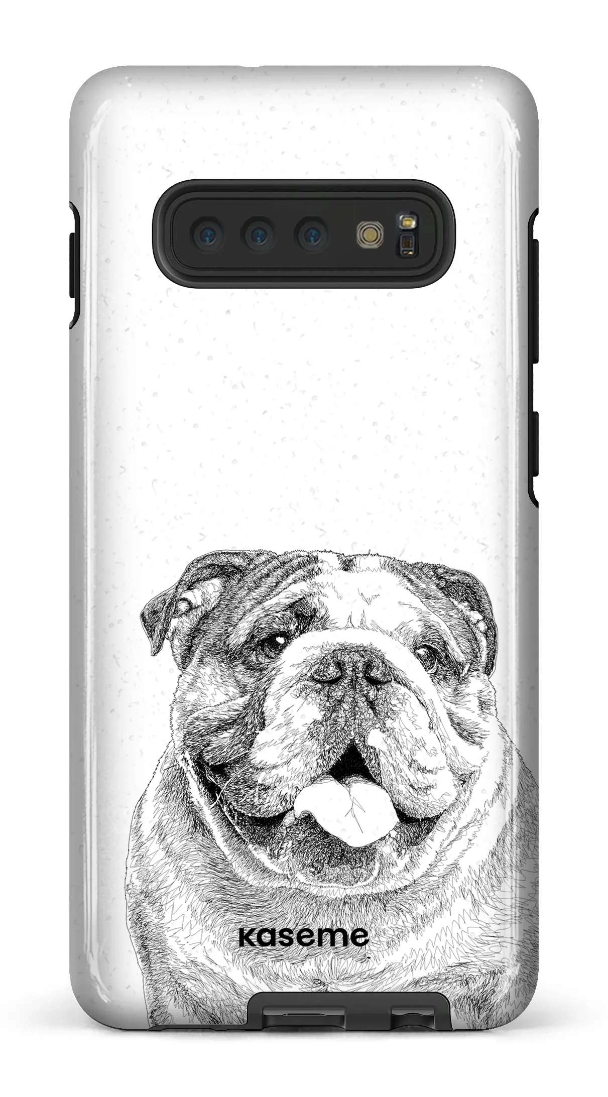 English Bulldog
