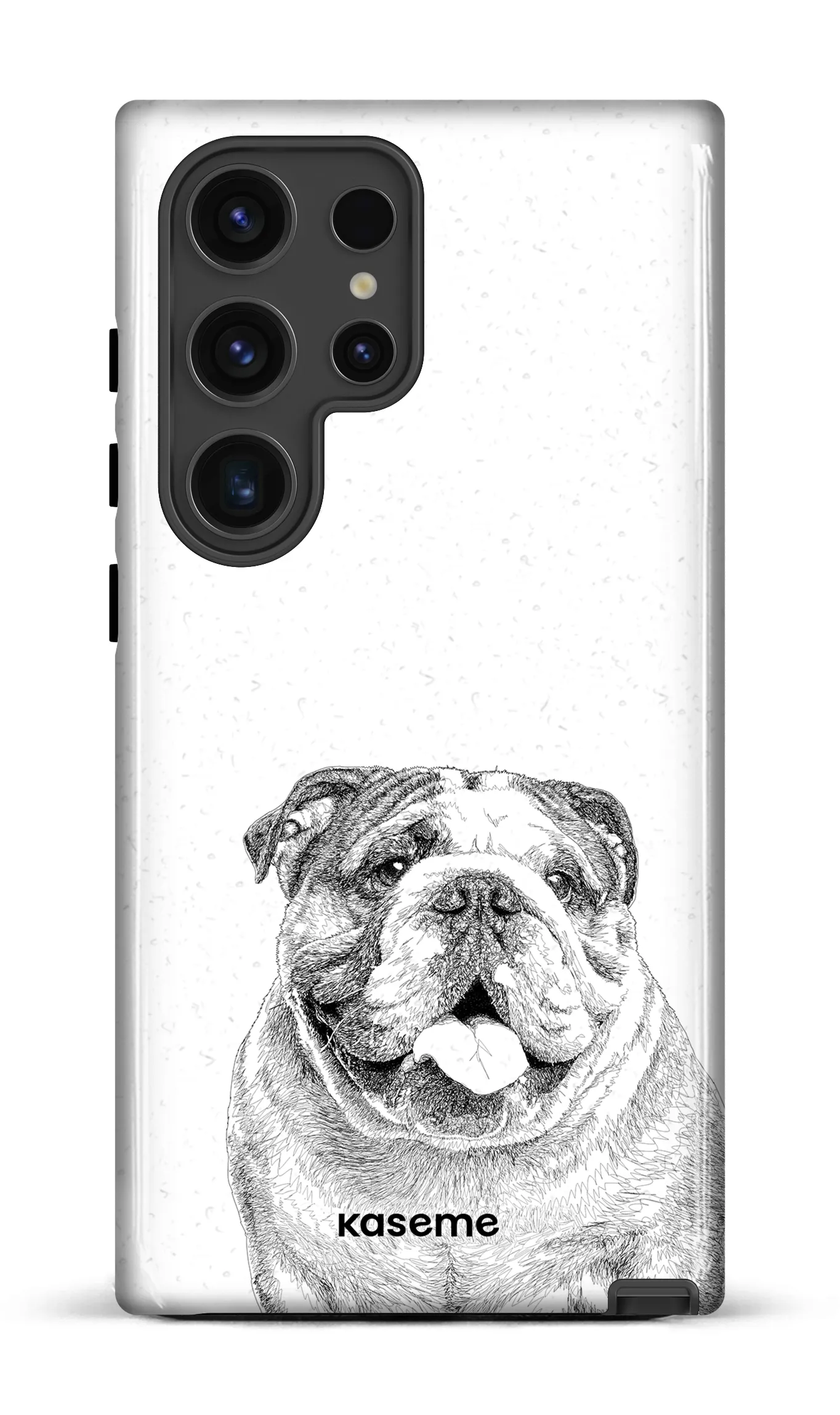 English Bulldog