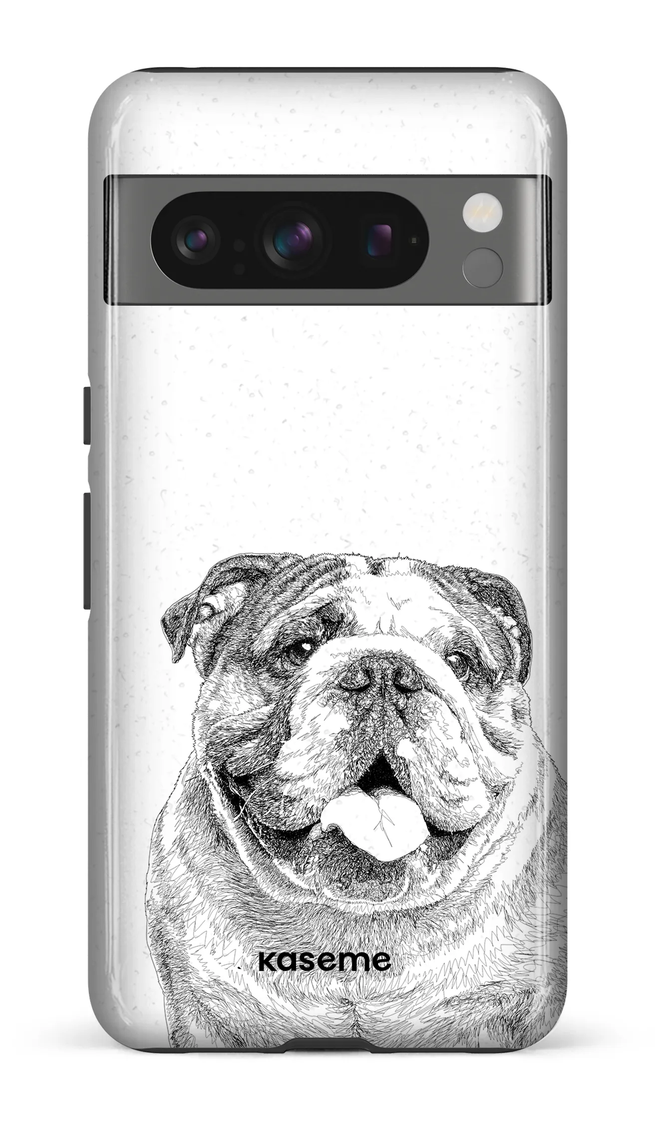 English Bulldog
