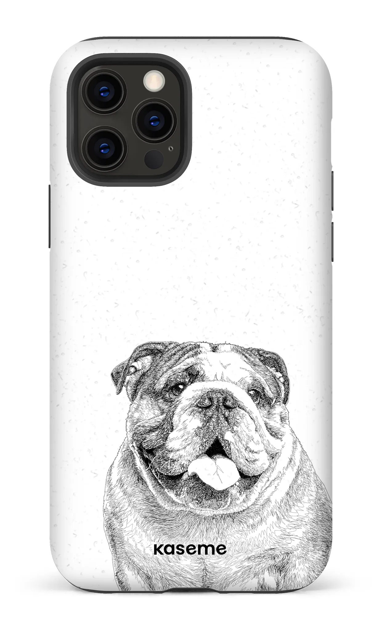 English Bulldog