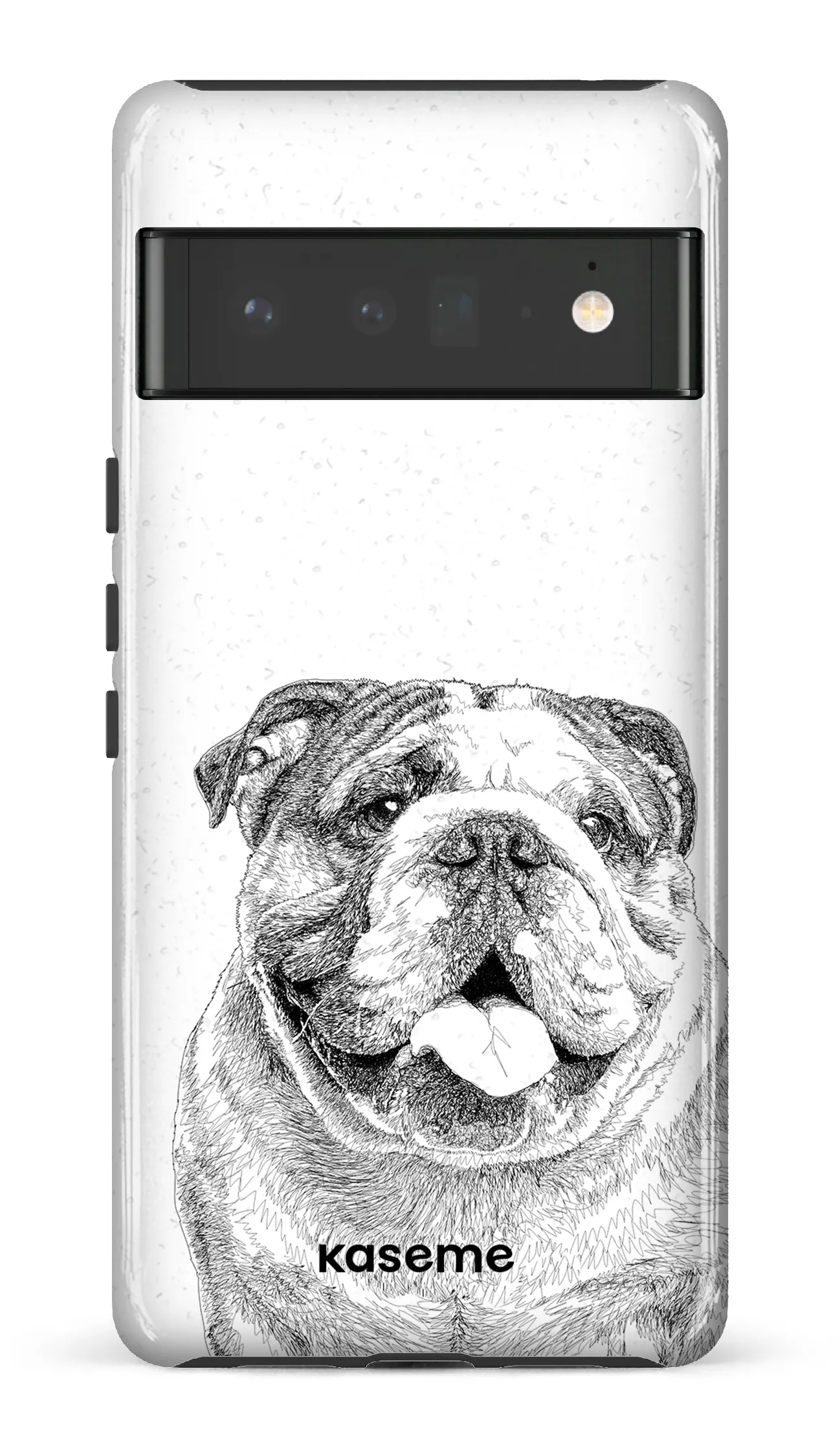 English Bulldog