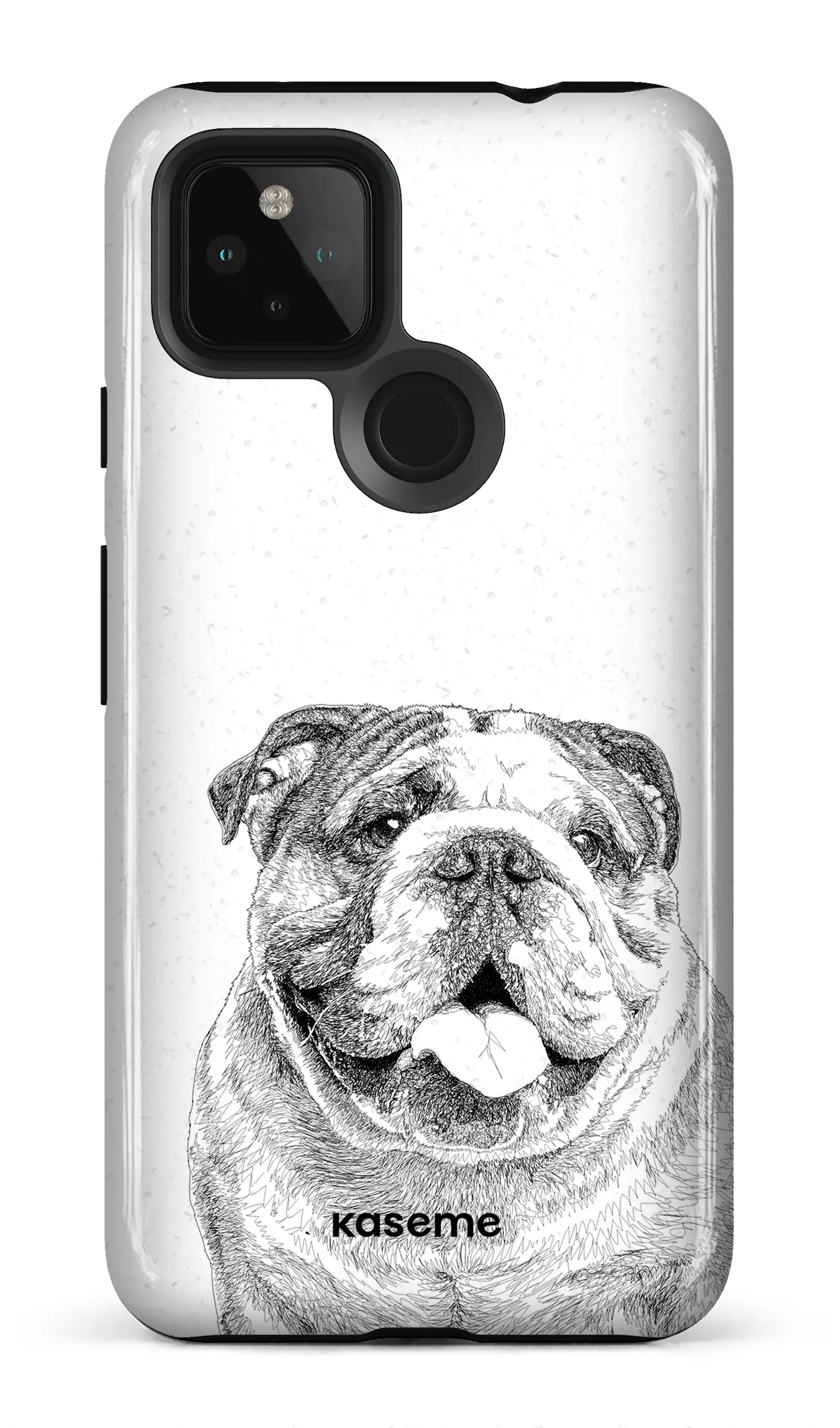 English Bulldog
