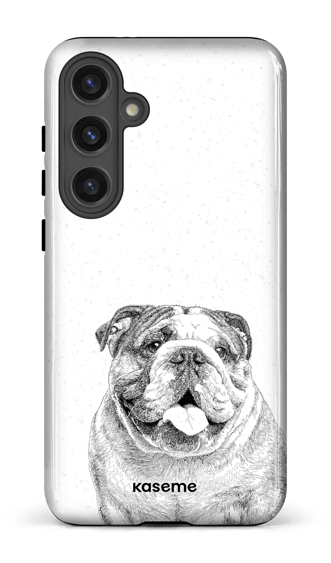 English Bulldog