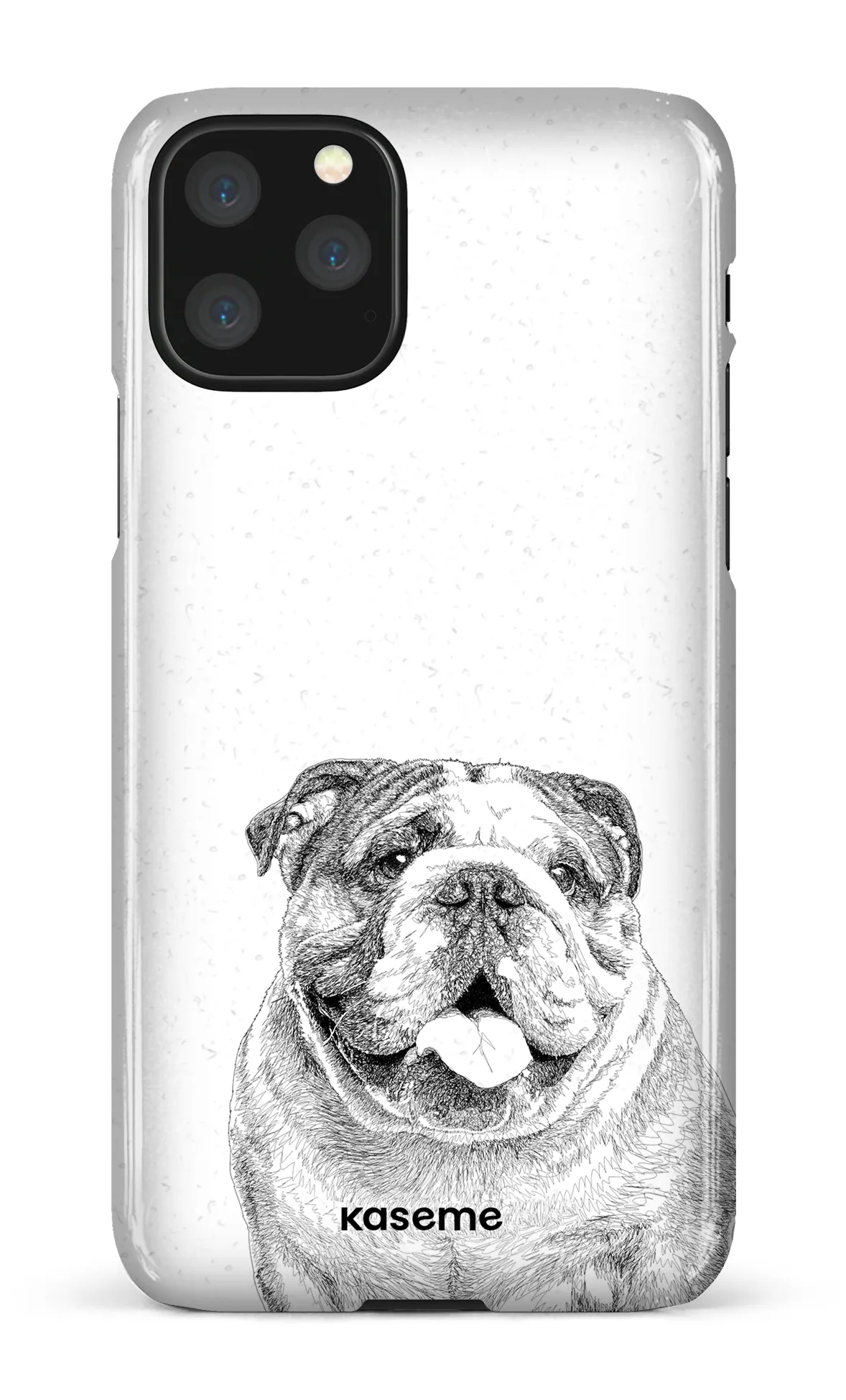 English Bulldog