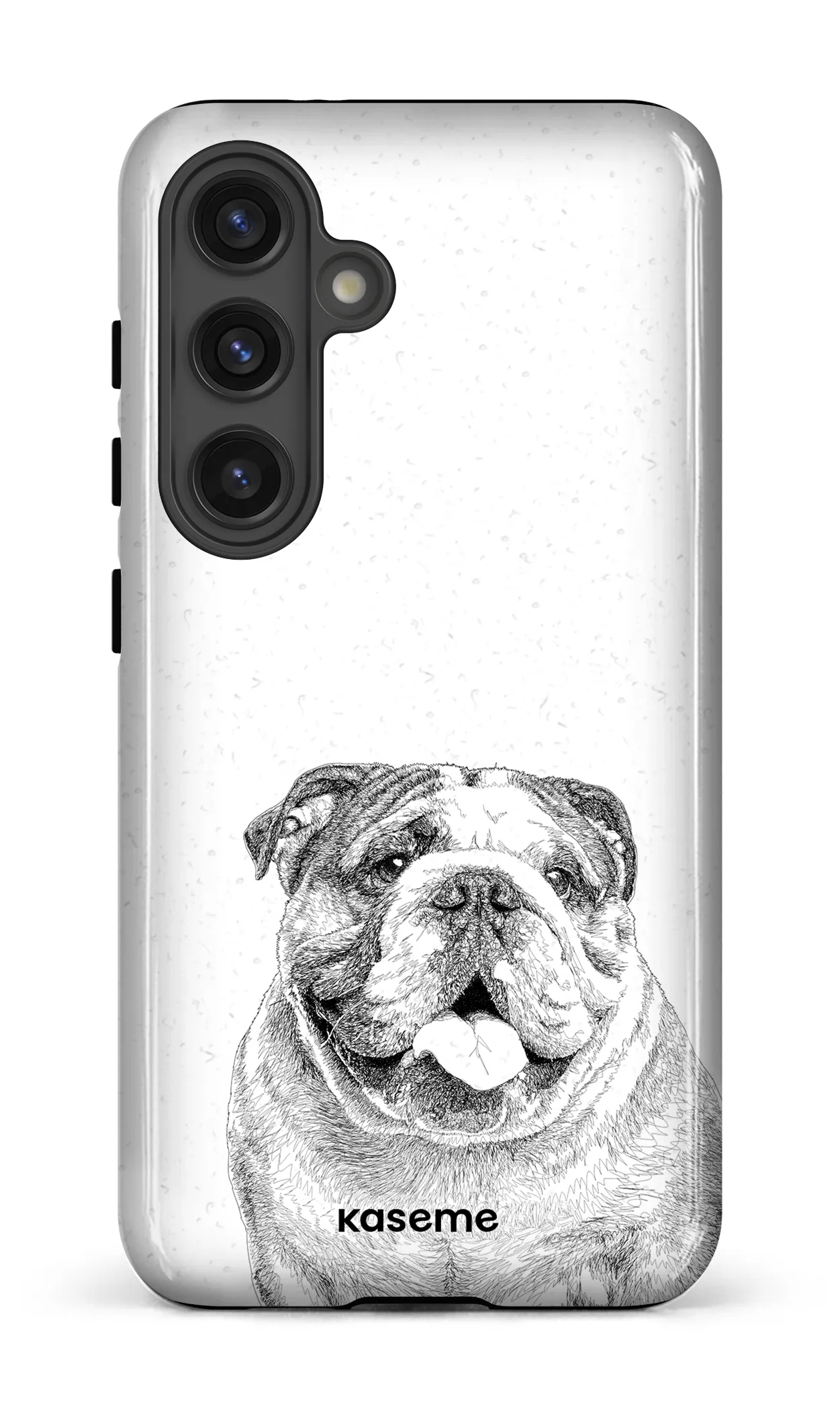 English Bulldog