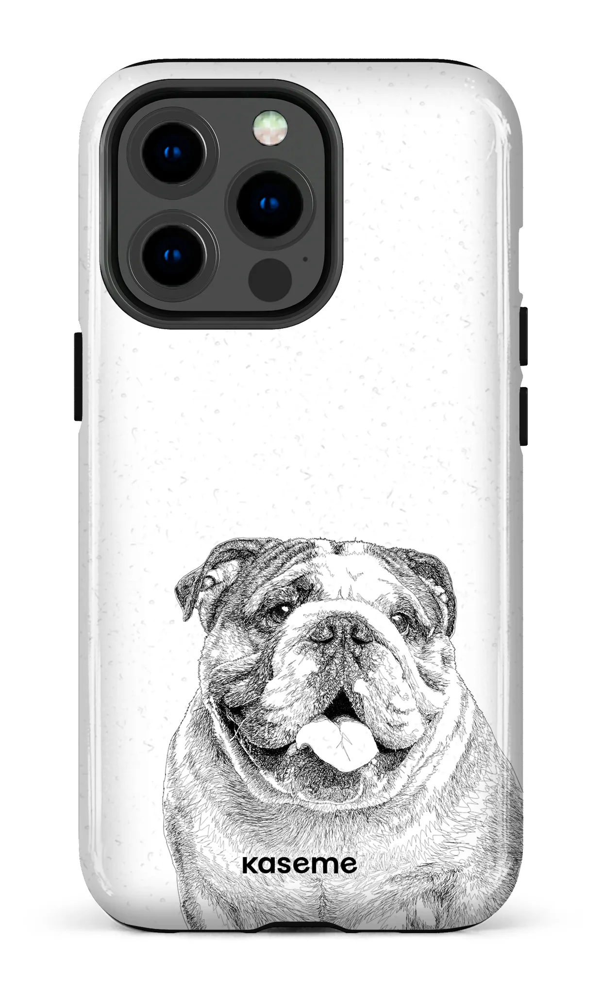 English Bulldog