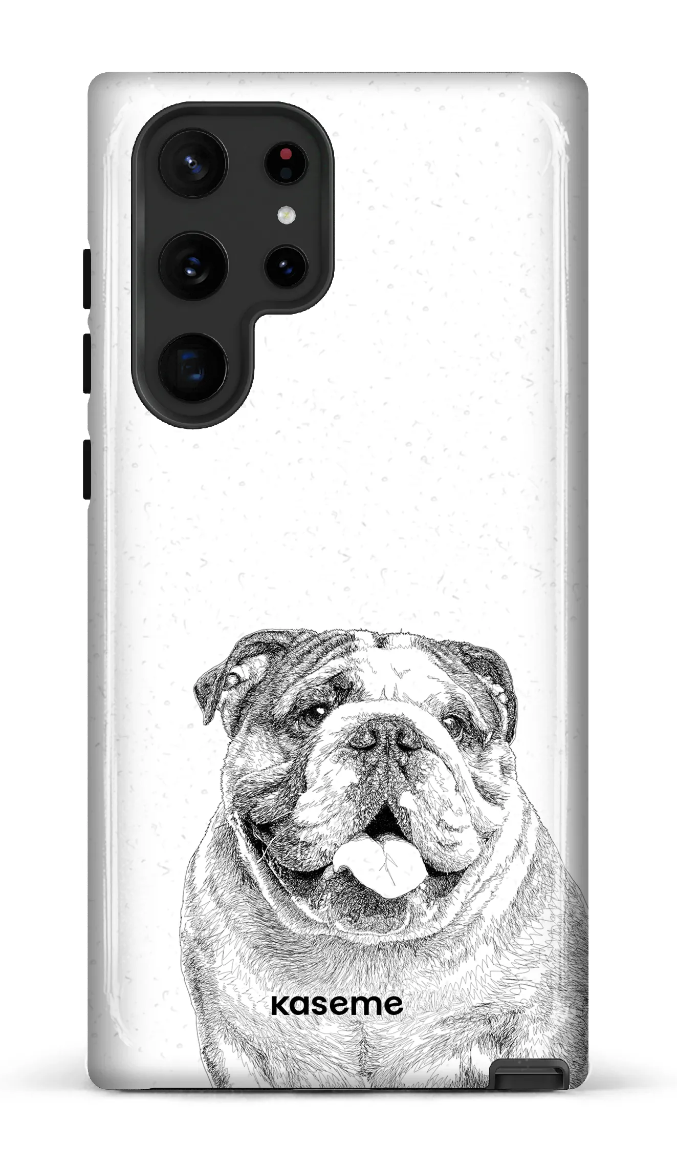 English Bulldog
