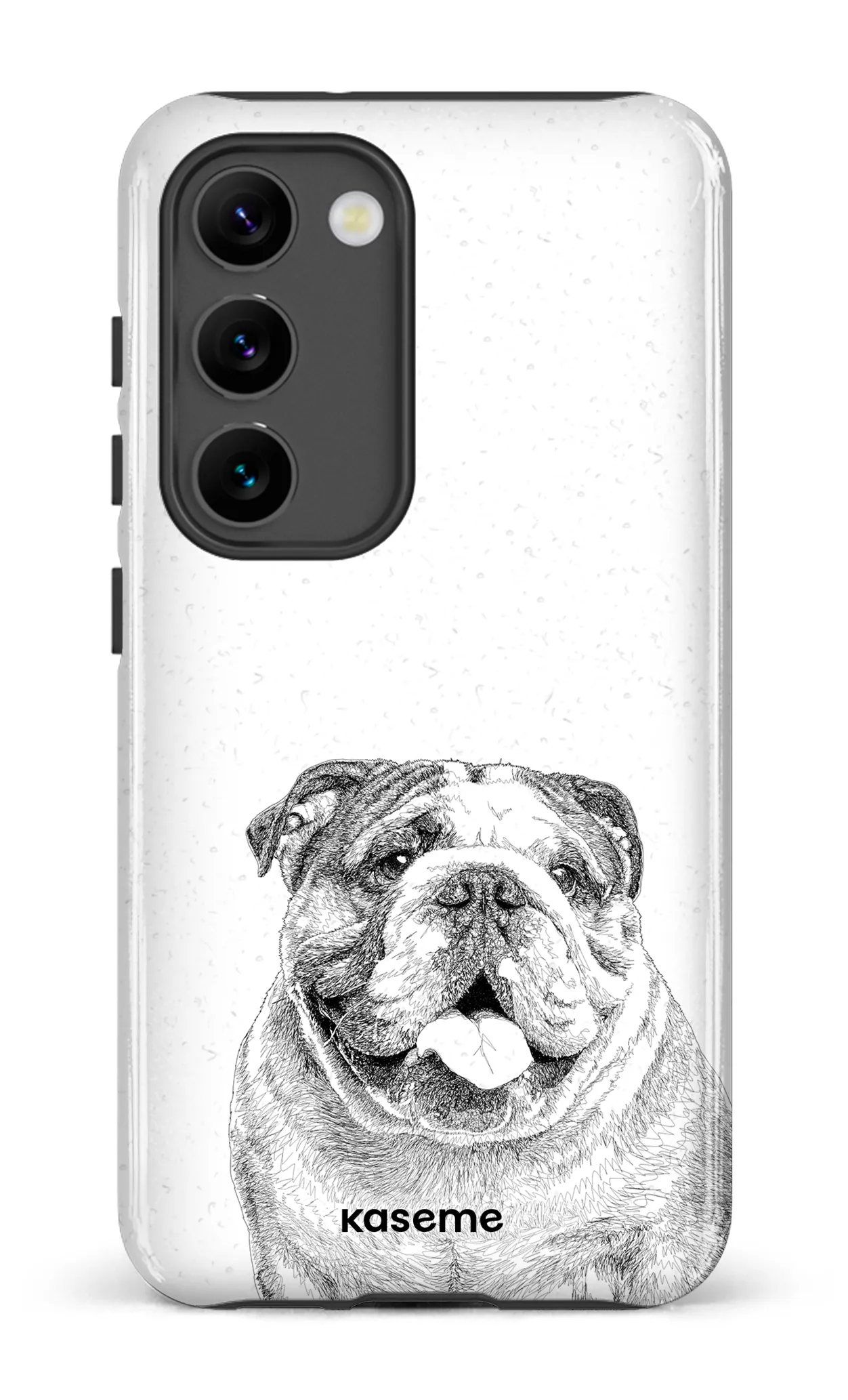 English Bulldog