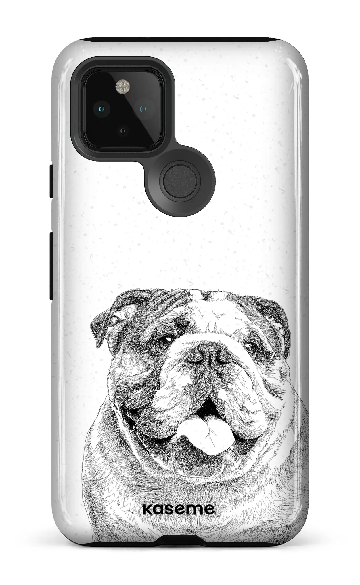 English Bulldog