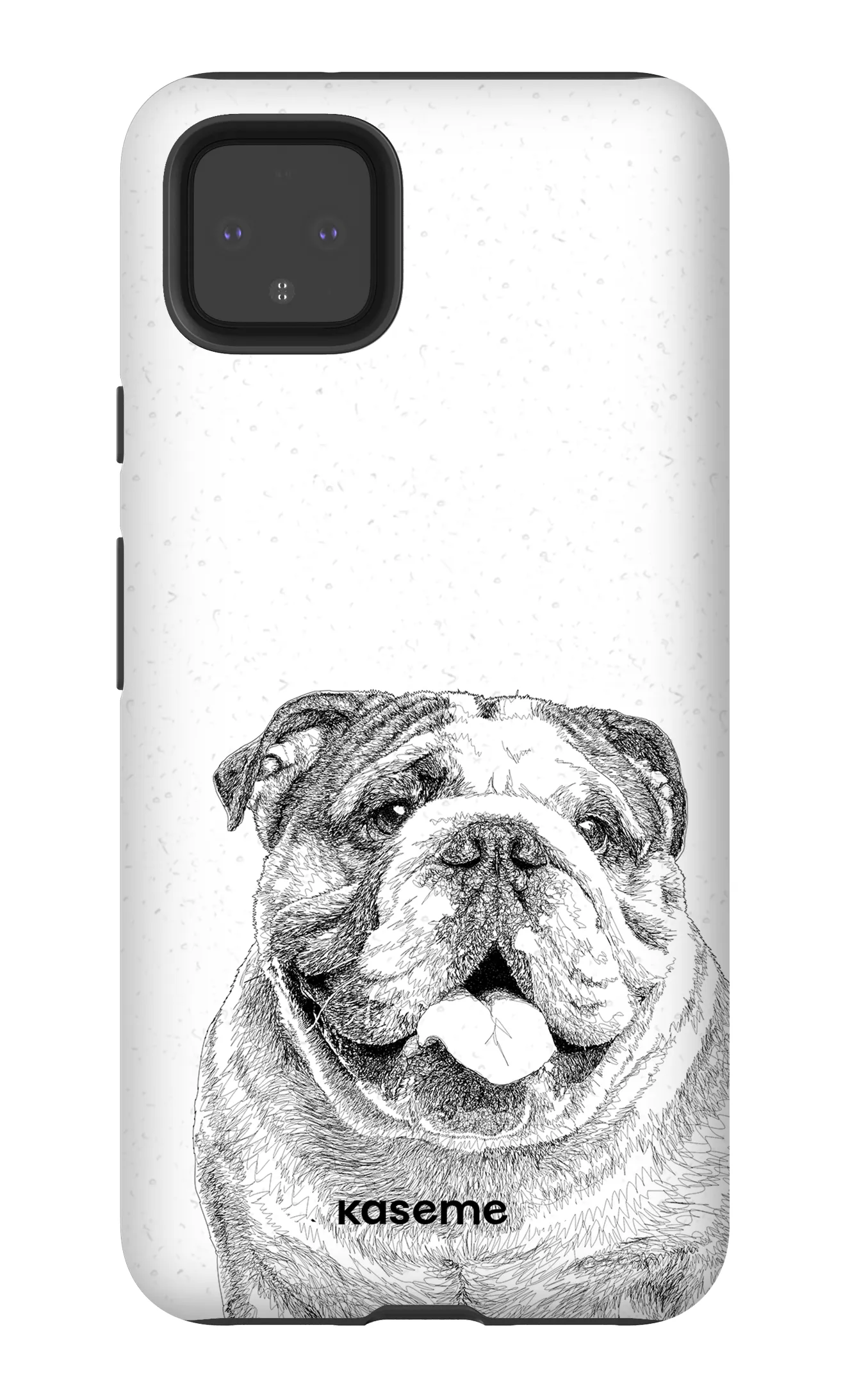English Bulldog