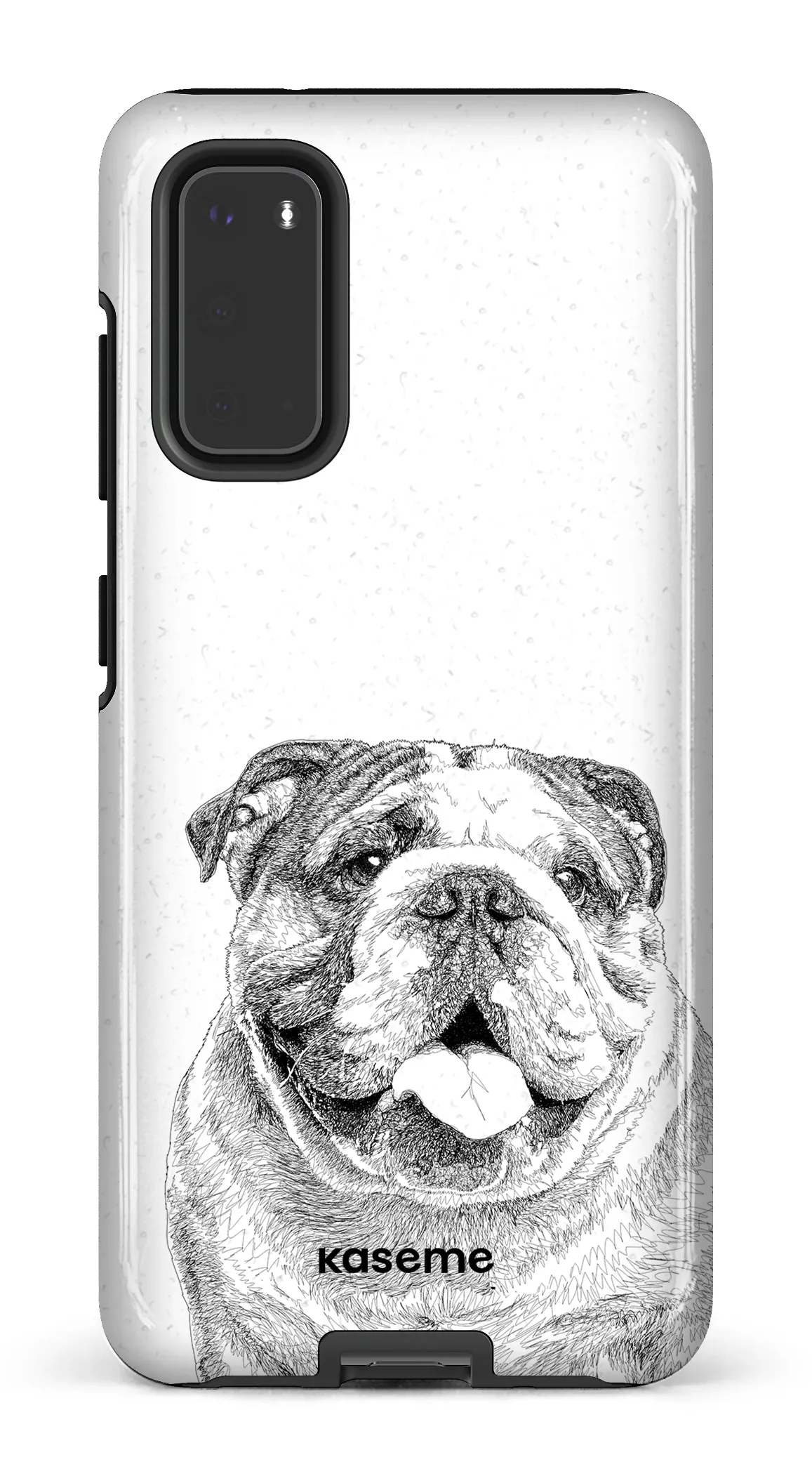 English Bulldog