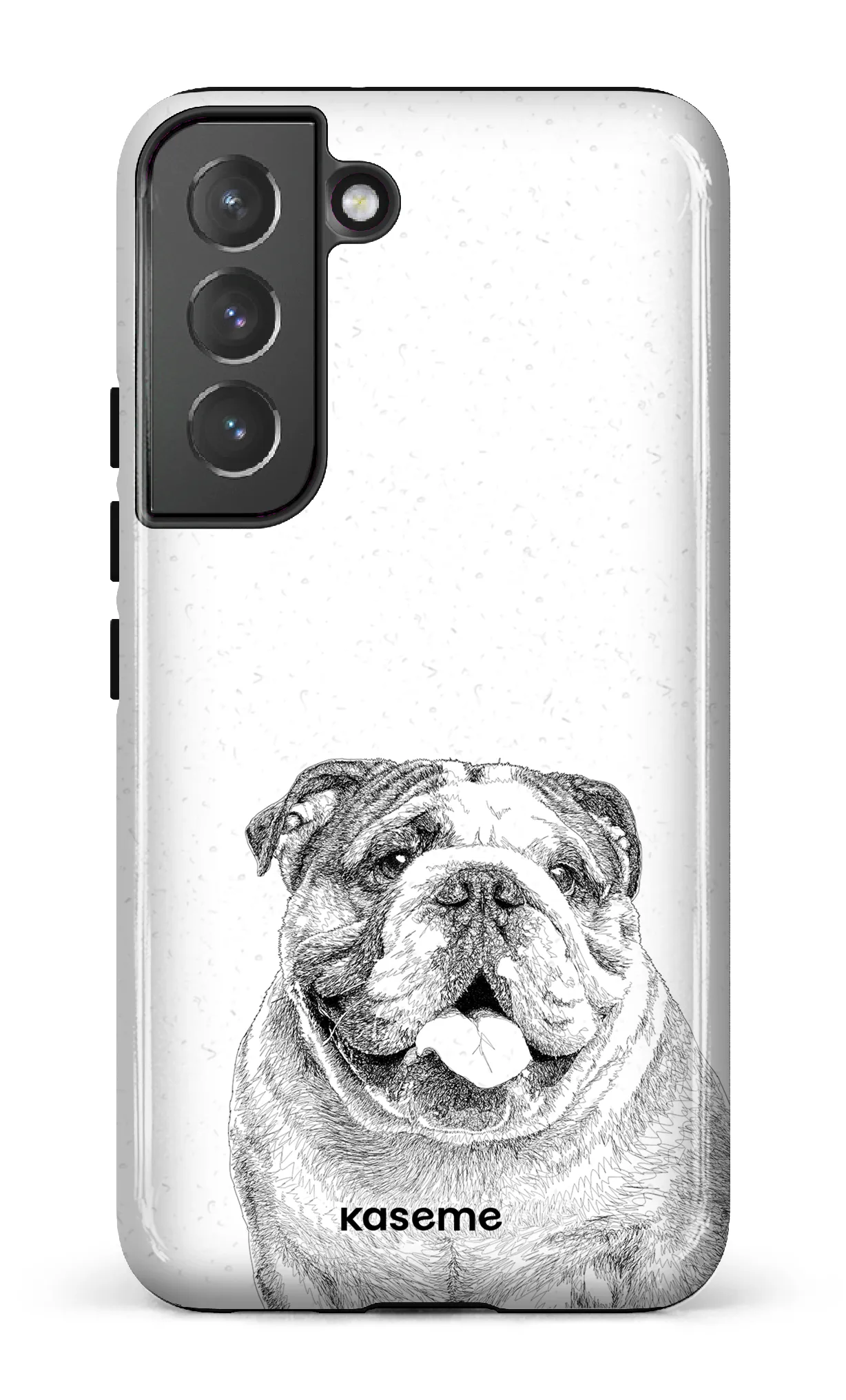 English Bulldog