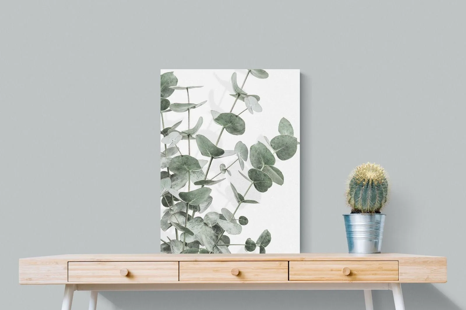 Flourishing Eucalyptus