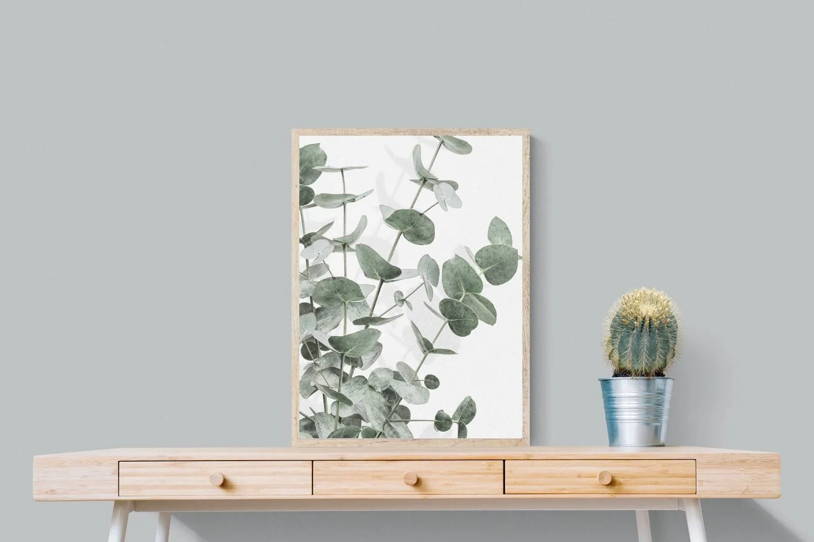 Flourishing Eucalyptus