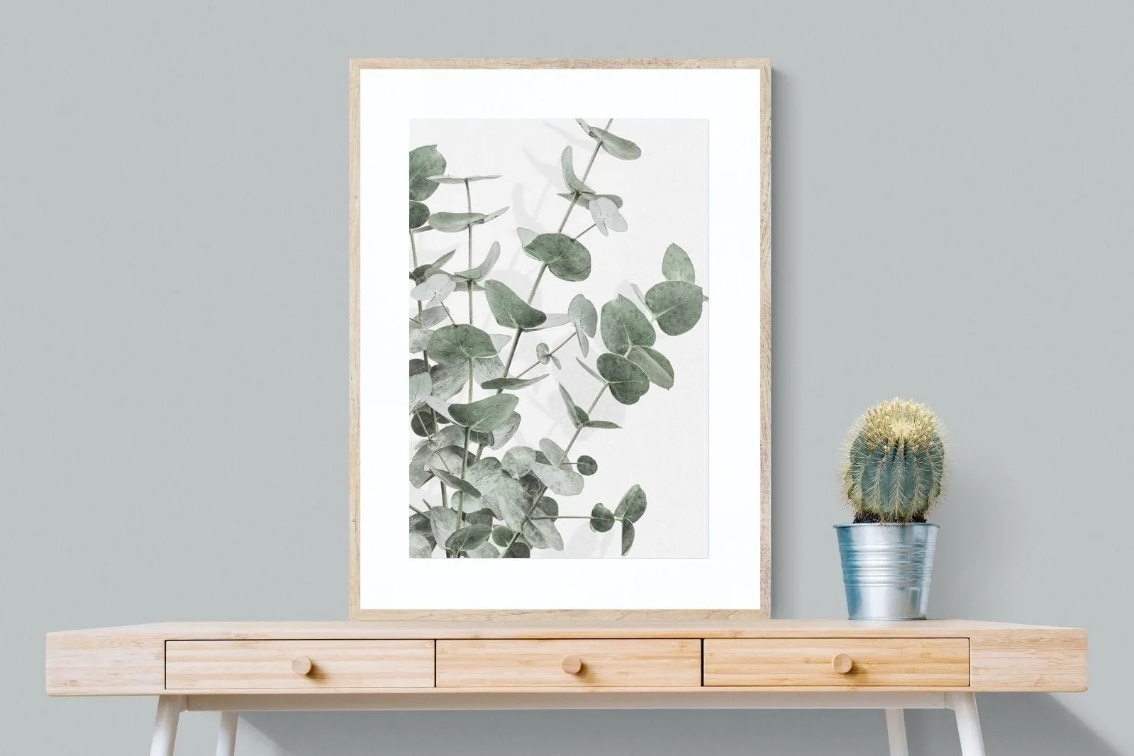Flourishing Eucalyptus
