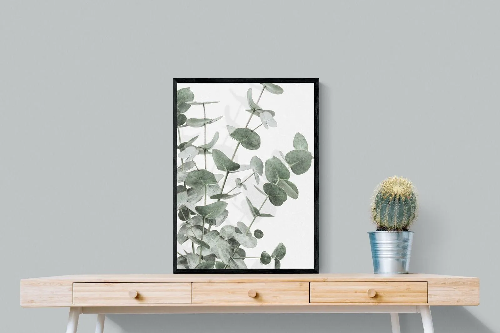 Flourishing Eucalyptus