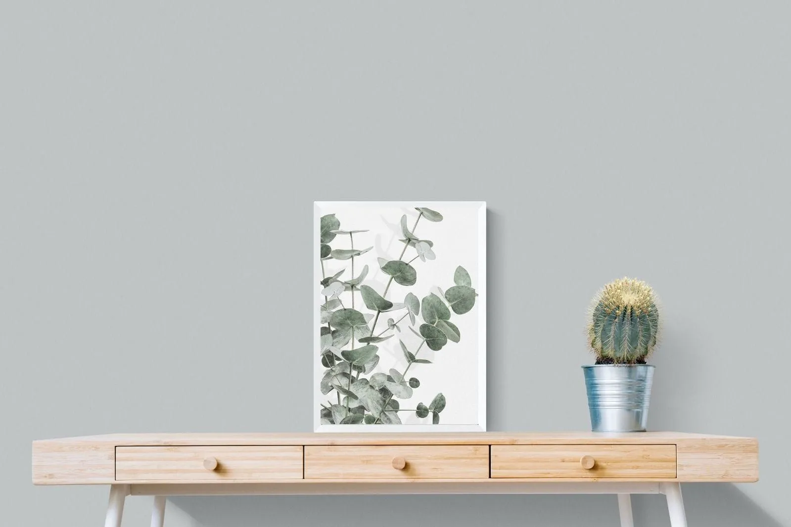Flourishing Eucalyptus