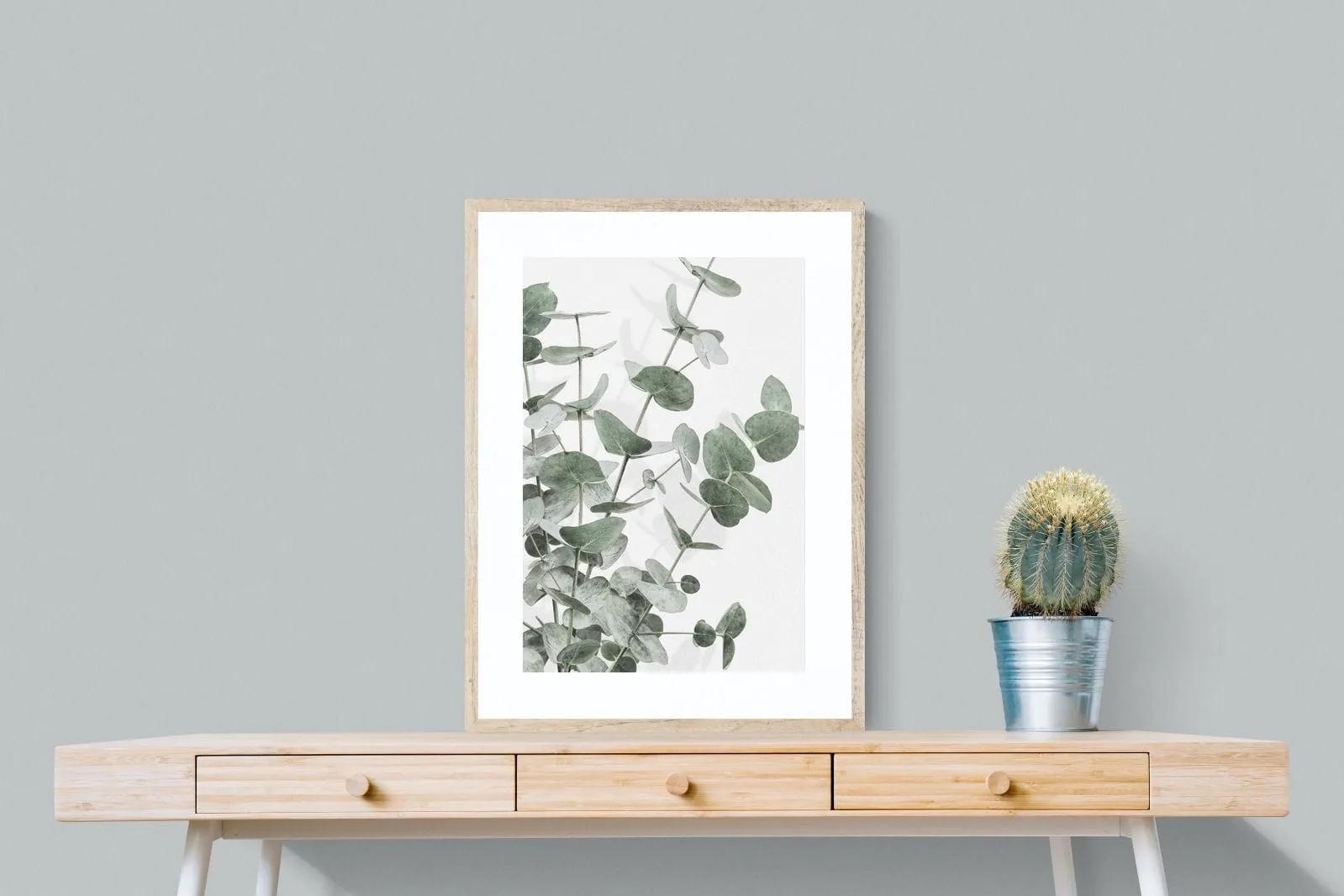 Flourishing Eucalyptus