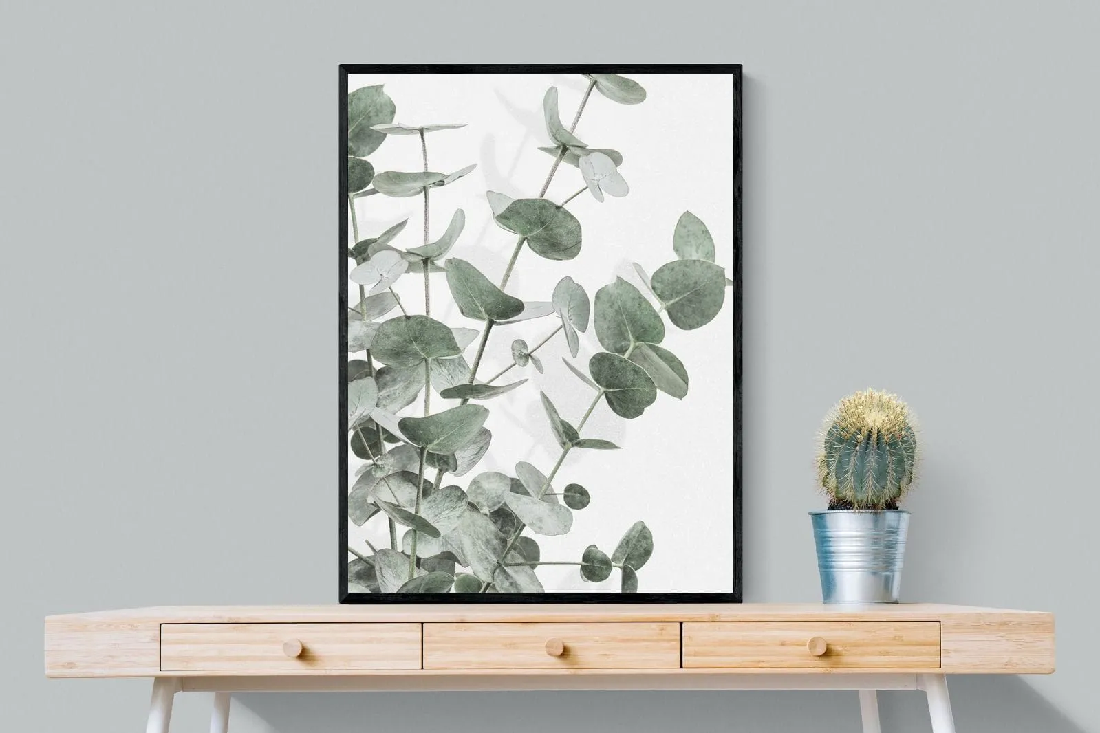 Flourishing Eucalyptus