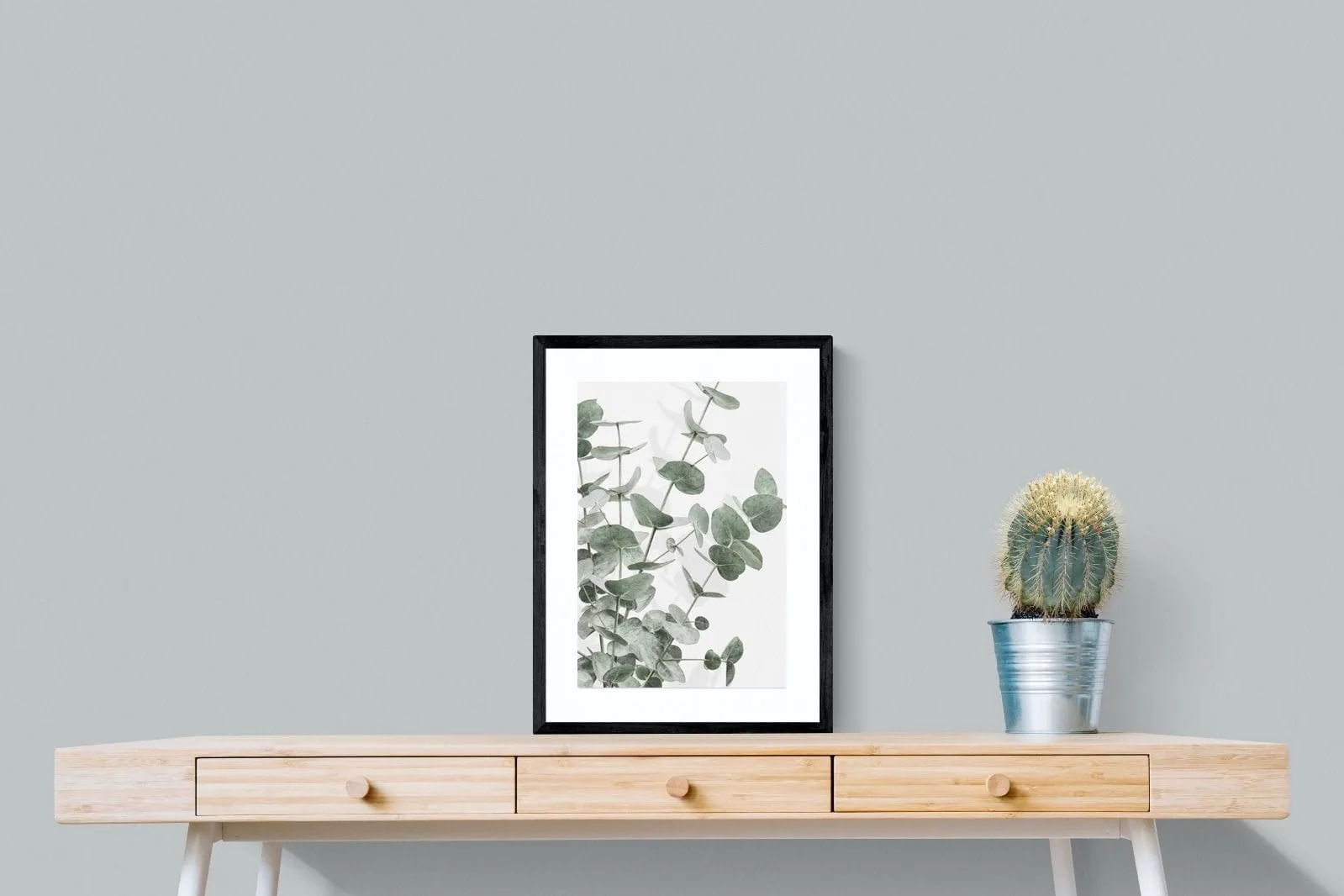 Flourishing Eucalyptus