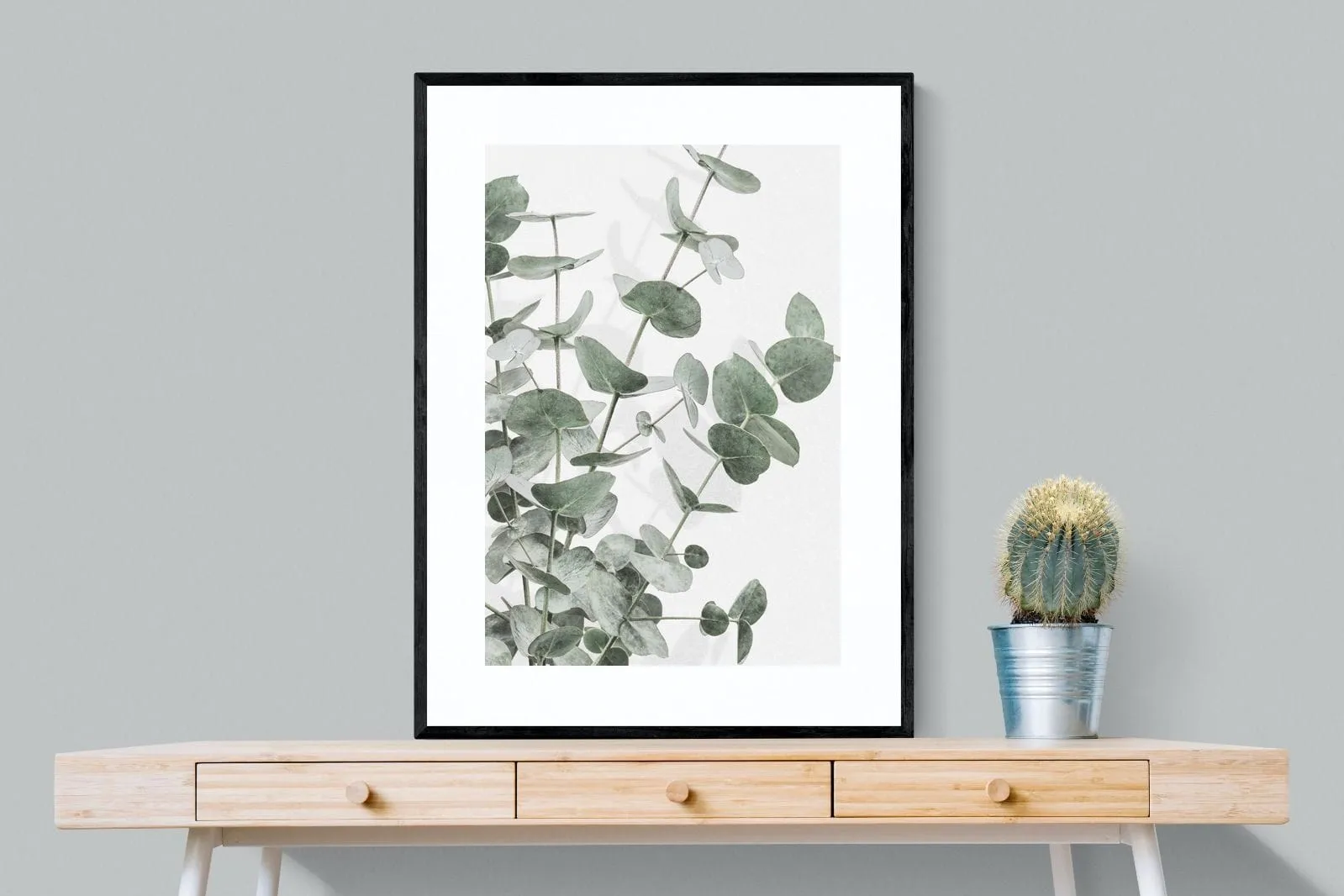 Flourishing Eucalyptus