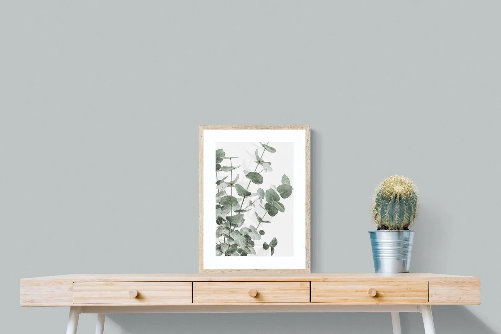 Flourishing Eucalyptus