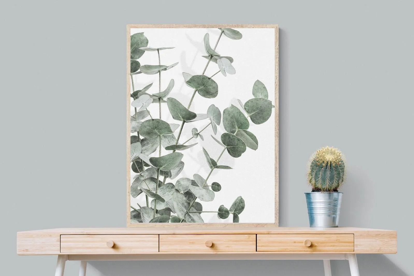 Flourishing Eucalyptus