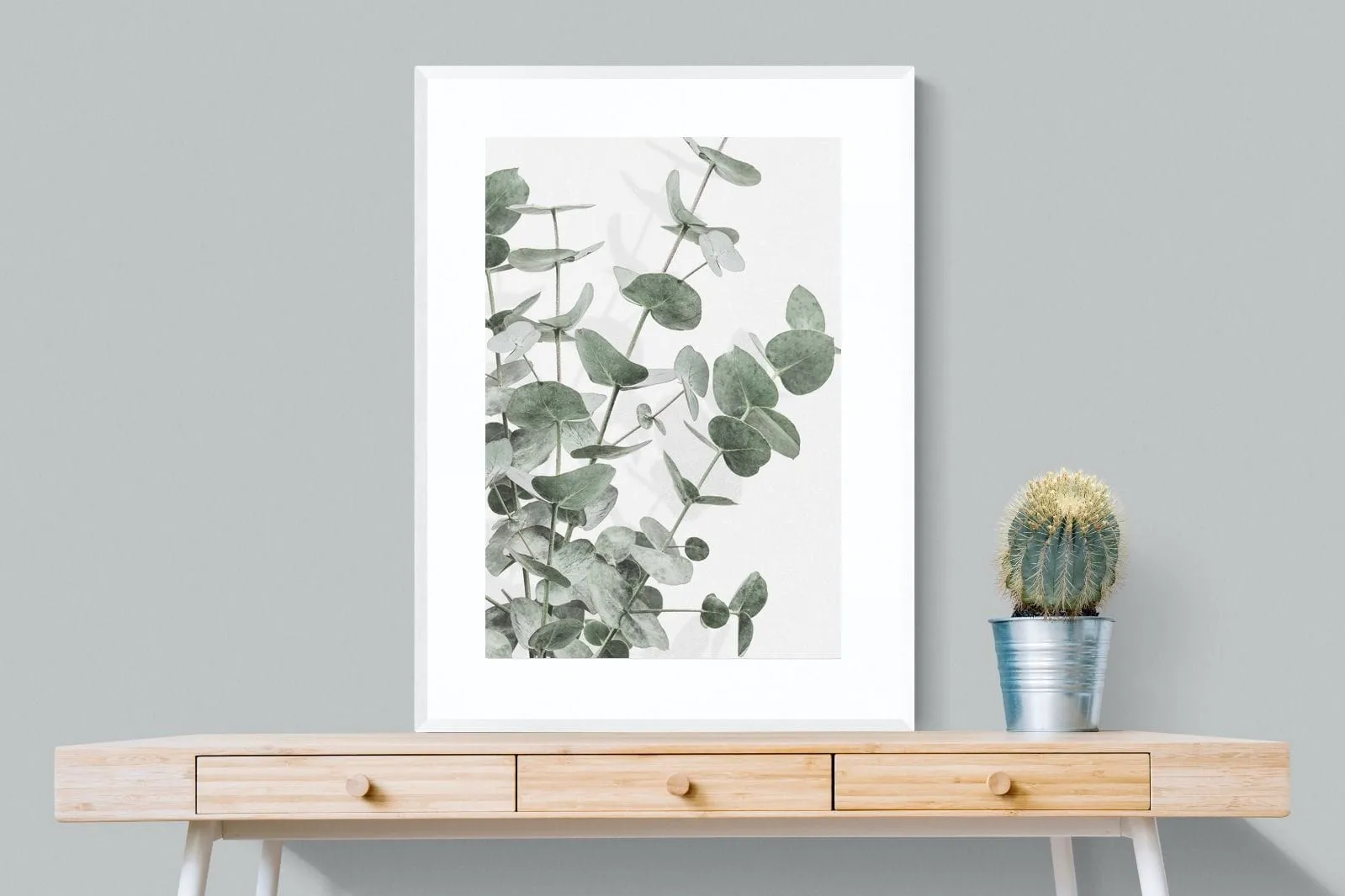 Flourishing Eucalyptus