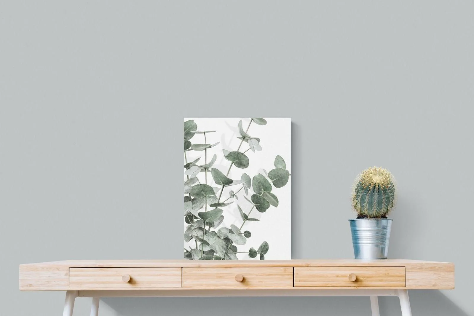 Flourishing Eucalyptus
