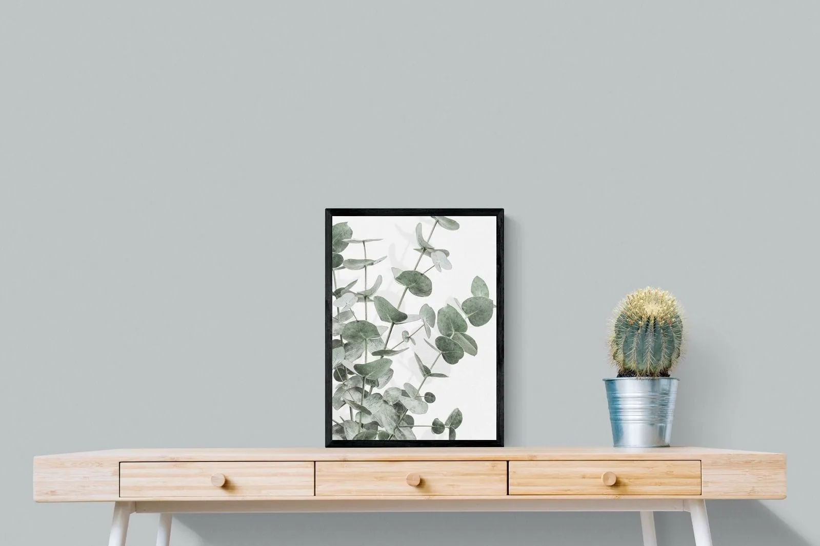 Flourishing Eucalyptus