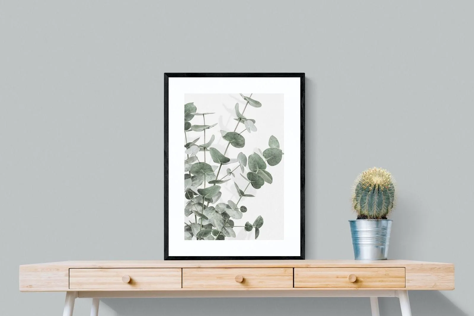 Flourishing Eucalyptus