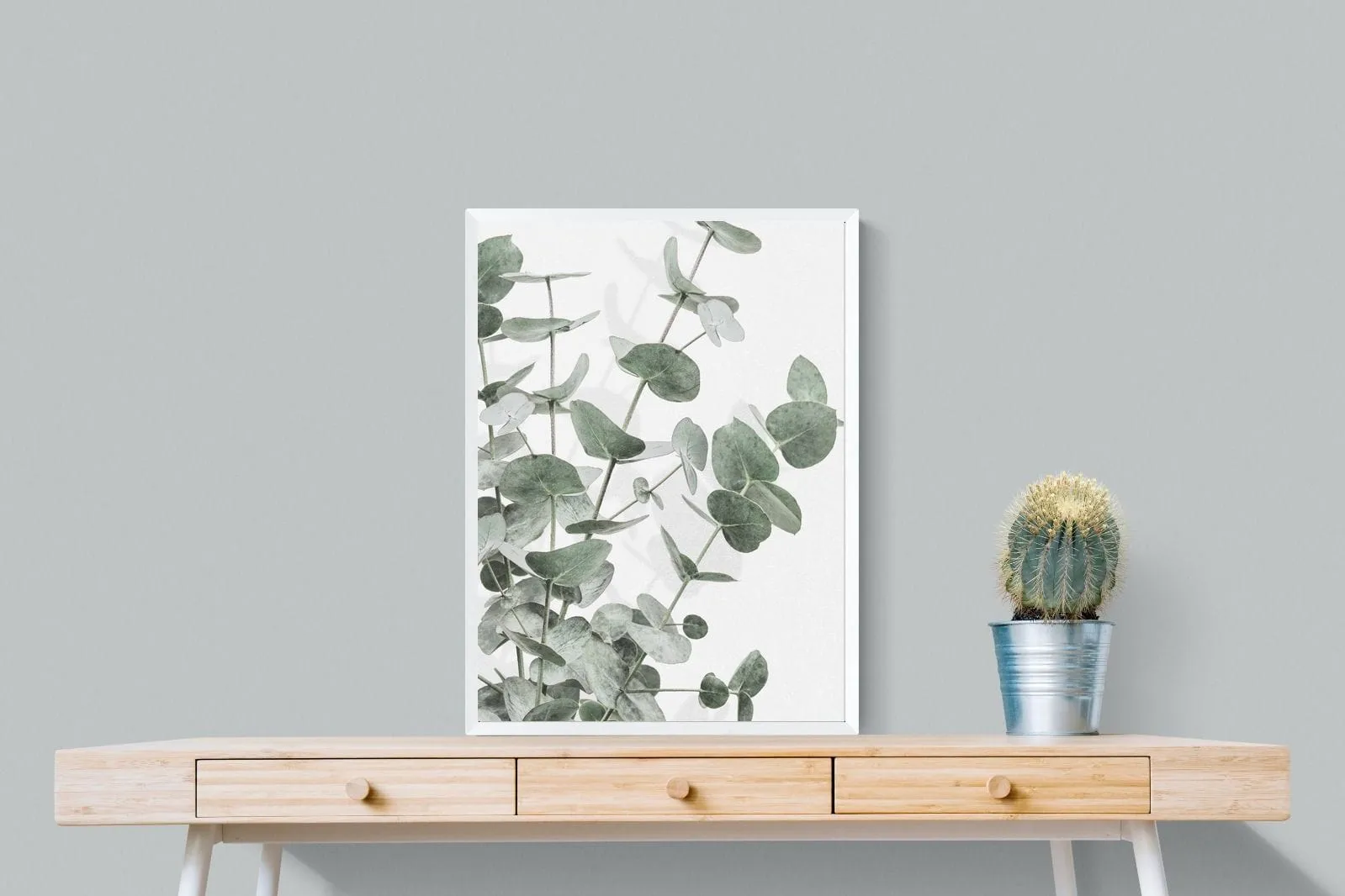 Flourishing Eucalyptus