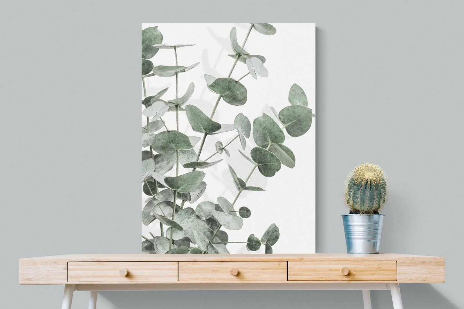Flourishing Eucalyptus