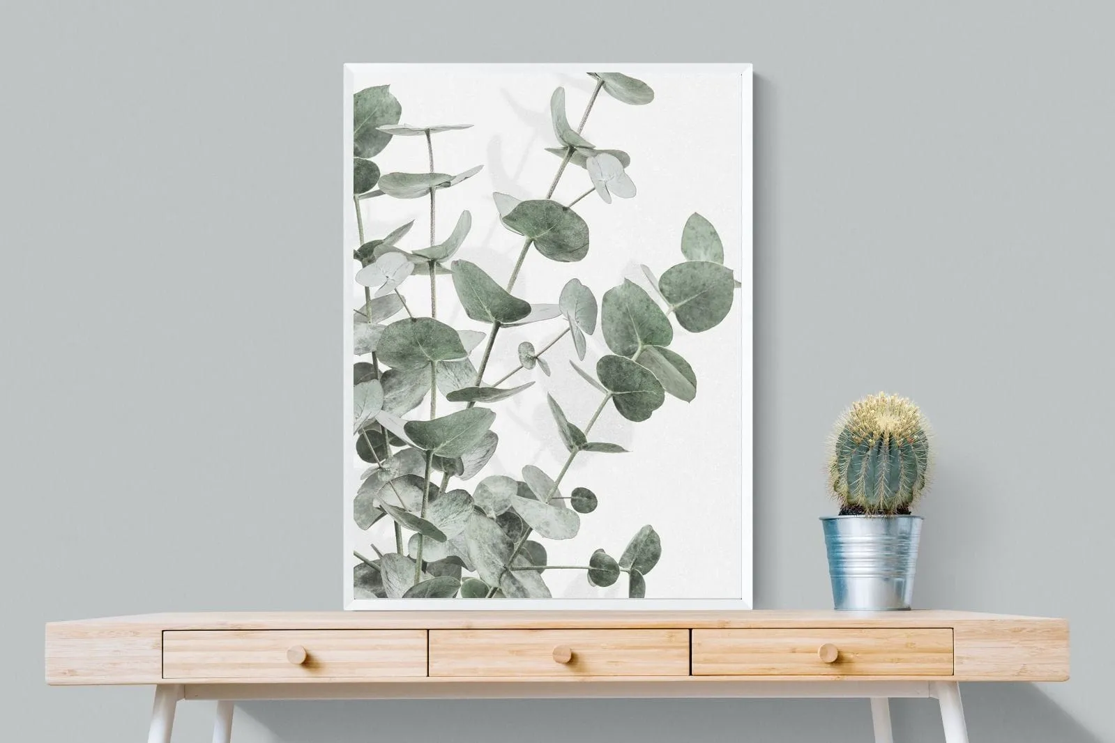 Flourishing Eucalyptus