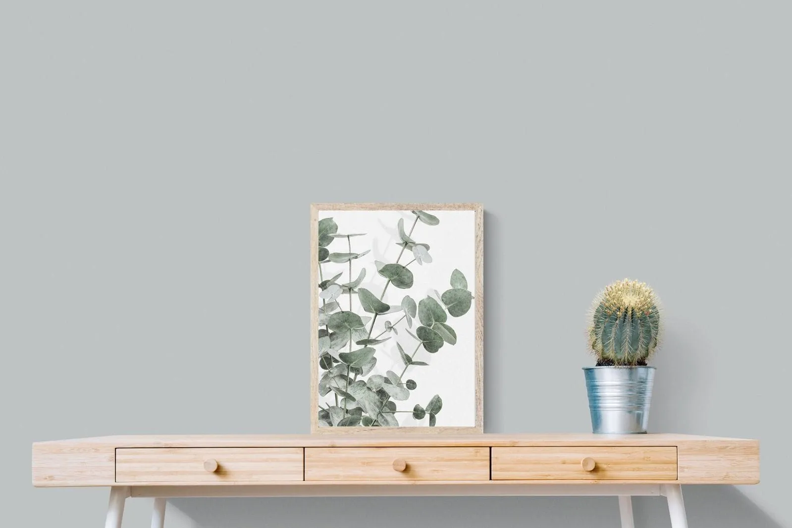 Flourishing Eucalyptus