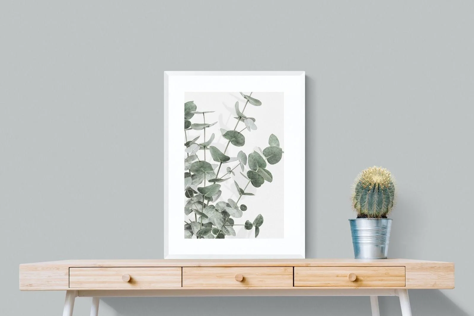 Flourishing Eucalyptus
